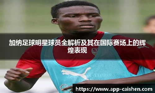 加纳足球明星球员全解析及其在国际赛场上的辉煌表现
