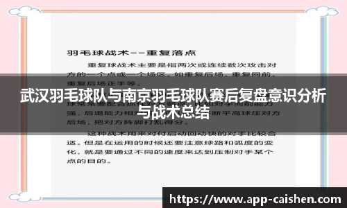 武汉羽毛球队与南京羽毛球队赛后复盘意识分析与战术总结